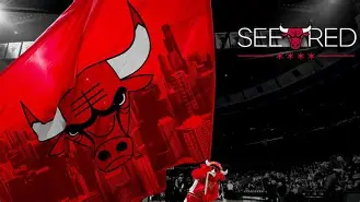 爱游戏-风云突变芝加哥公牛清晨临场应变，德国杯版图或变，信心回归，身体对抗强度拉满