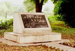 AYXGAME-勒沃库森不败纪录刷新